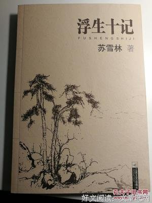 浮生十记读后感100字