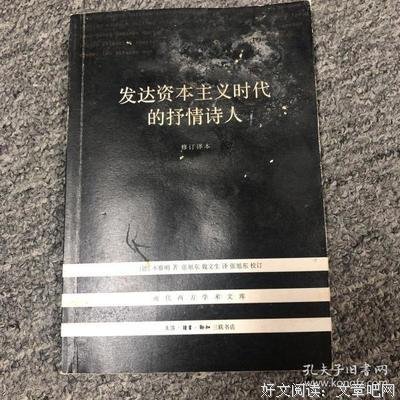 《发达资本主义时代的抒情诗人》读后感精选