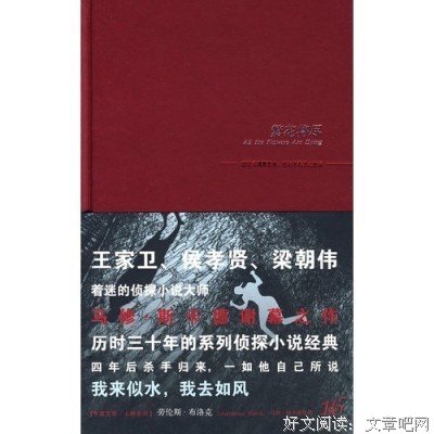 爱伦·坡集读后感100字