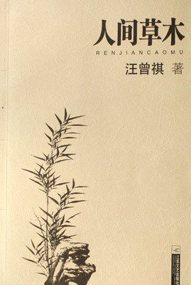《人间草木》经典读后感有感