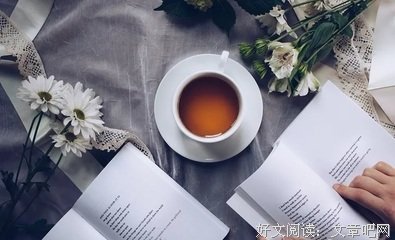 《没有世界观的世界》的读后感大全