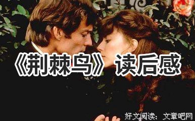 《权力意志》读后感锦集