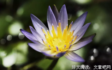 15条关于峰回路转的经典语句
