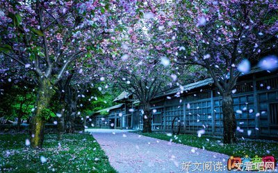 有关自得其乐的美句摘抄