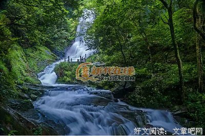 《遥远的天熊山》经典观后感有感