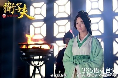 《卫子夫》的观后感大全