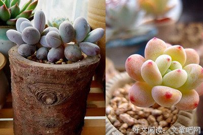 《零度以下的生活 第一季》影评精选