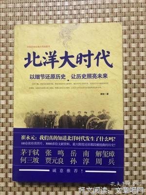 《北洋大时代》经典观后感有感