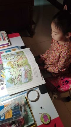 《小毛驴与我》读后感精选