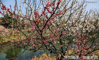 喜欢经典名句