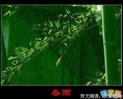 零星雨滴经典的句子