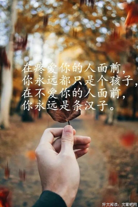 有关给我心灵的触动的句子