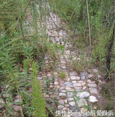关于念的句子