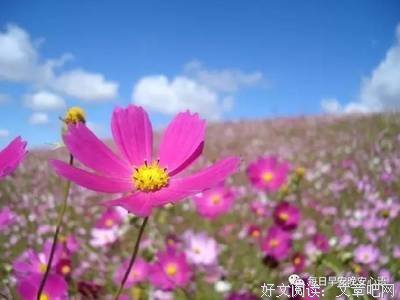 关于我仅剩的那点底线不能践踏的优美句子