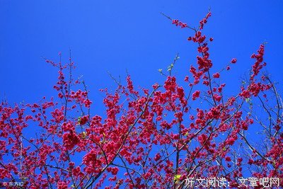 《浣花集》的句子