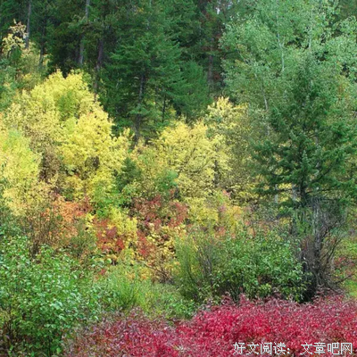 明亮的黑暗经典名句
