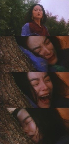 关于东邪西毒的优美句子