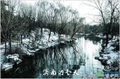 我的人生我做主好词好句