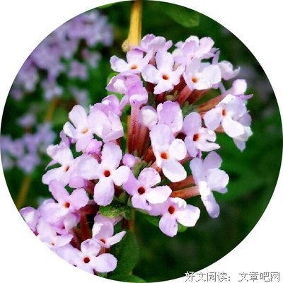 最全的伯克的名言