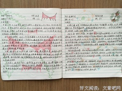 最经典的《玉兰花开》语录摘抄