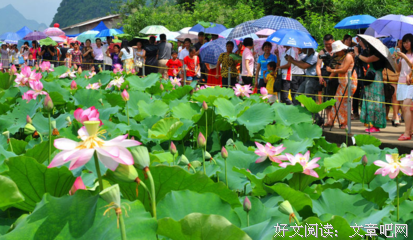 实践理性批判读后感精选