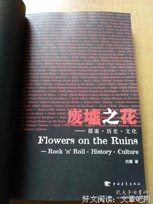 废墟之花：摇滚・历史・文化的读后感大全