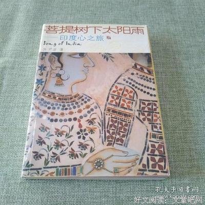 菩提树下太阳雨读后感精选
