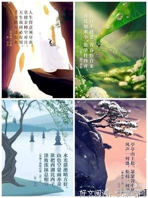 万物生长读后感精选