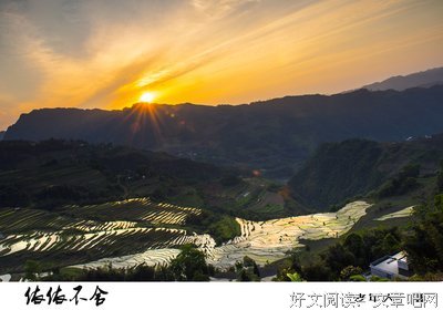 有关依依不舍的美句摘抄