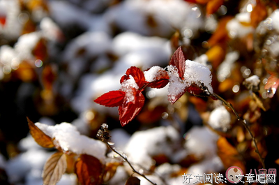 关于野心勃勃的唯美语录