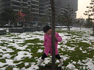 《伸缩自如的爱》的读后感大全