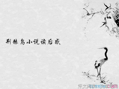 小鸟读后感锦集