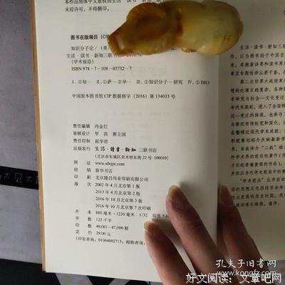 《中国知识分子十论》读后感锦集