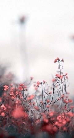 《追爱时光机》观后感摘抄
