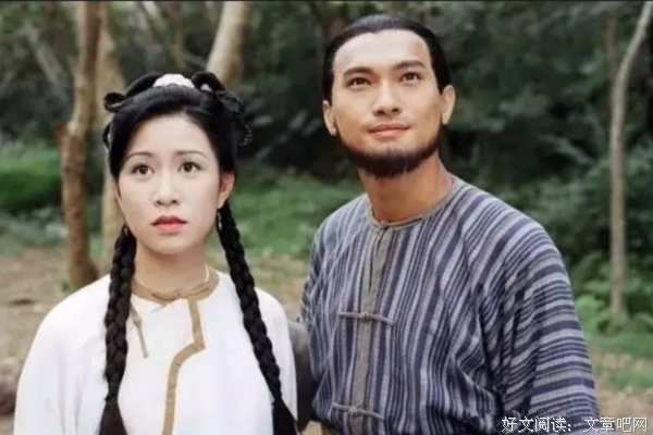 《雪山飞狐》读后感100字