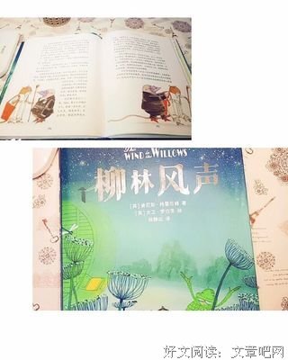 《麦唛·宁静声音》的读后感大全