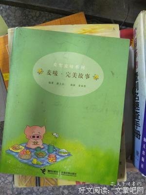 《麦唛·完美故事》读后感摘抄