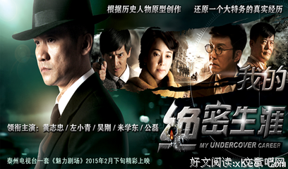 《我的绝密生涯》观后感摘抄