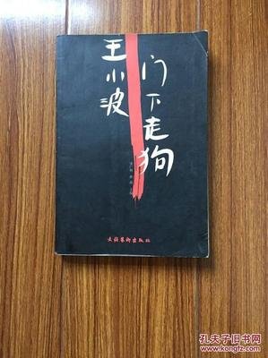 《王小波门下走狗》读后感锦集