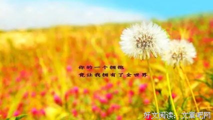 你别走优美的句子