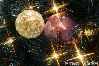 《明信片》的句子