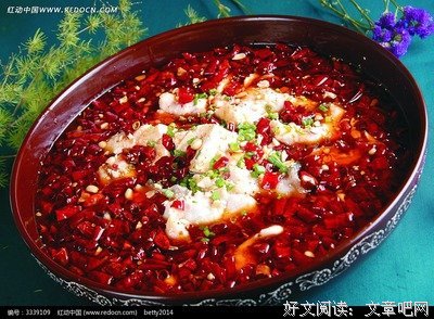 《浪迹一生》的句子