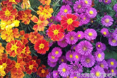 灵感采集的优美句子