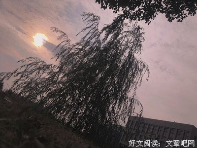 悦樚经典名句