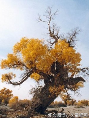 明天会更好经典名句