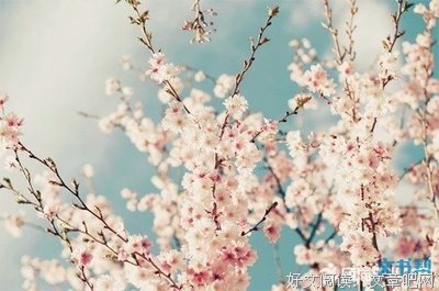 为你写的N封情书经典的句子