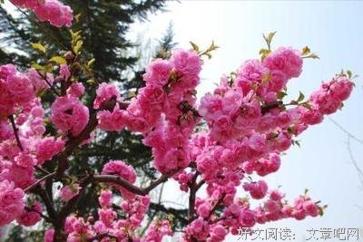 子非鱼经典名句