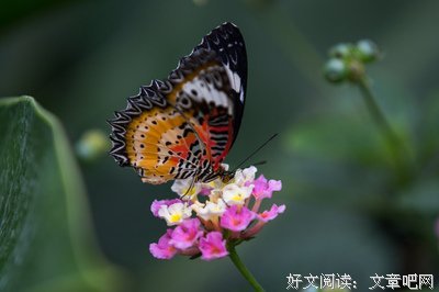 有关冷恒的名言