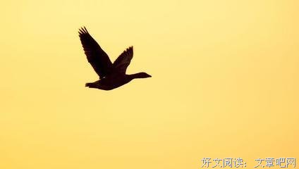 最经典的刘文名言
