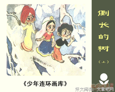 最新的《倒长的树》小说句子